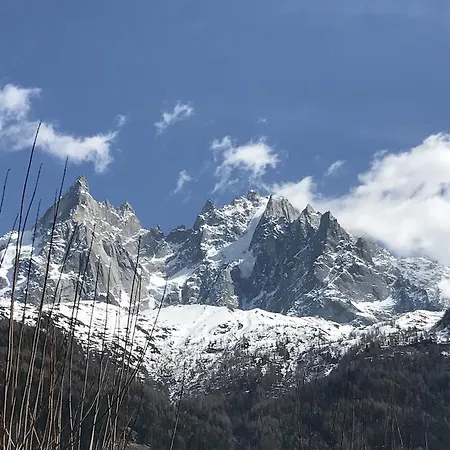 Aiguille Verte & Апарт-готель