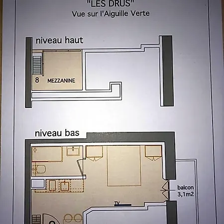 Aiguille Verte & 3*