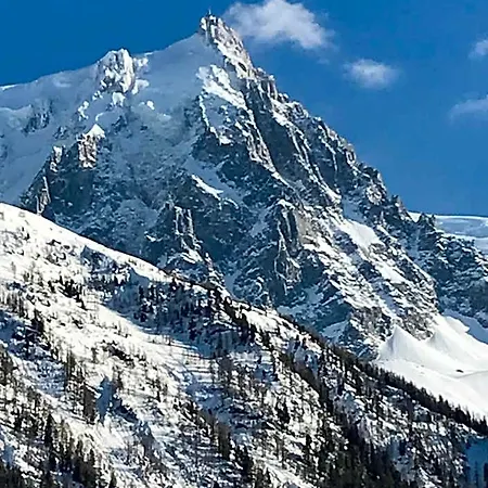 Aiguille Verte & Chamonix