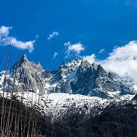 Aiguille Verte & Apartmanhotel