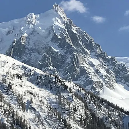 아파트호텔 Aiguille Verte & 샤모니