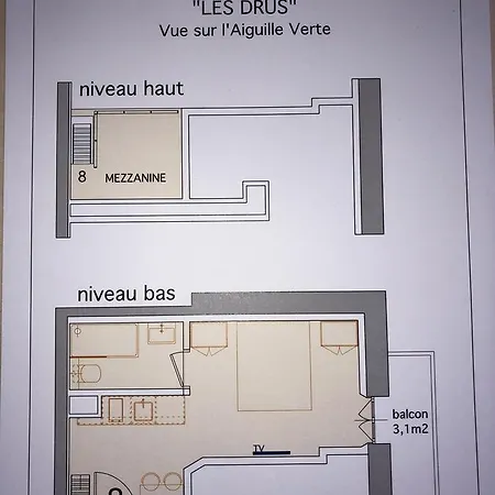 Hotel apartamentowy Aiguille Verte &