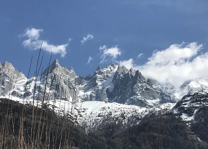 Aiguille Verte & Lägenhetshotell
