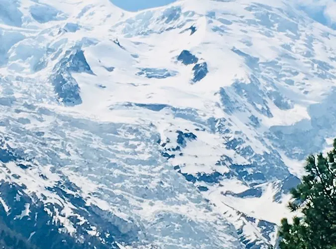 Aiguille Verte & Aparthotel 3*