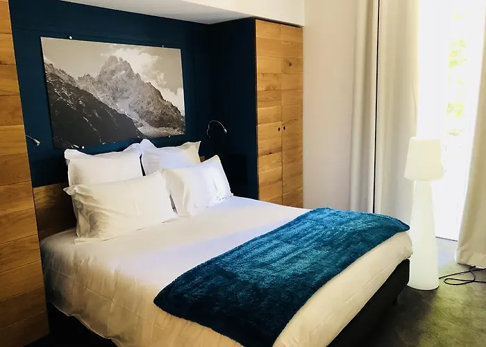 Aiguille Verte & Chamonix